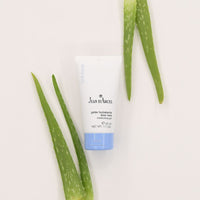 Aloe Vera Moisturizing Gel – gel răcoritor pentru calmare și prospețime - 2