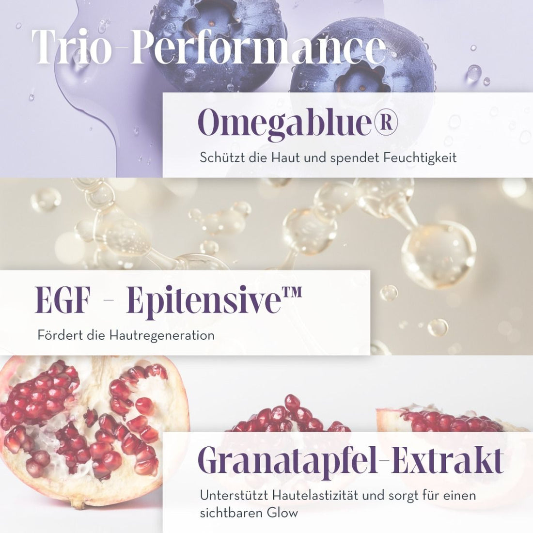 Crème EGF Effet Intense – cremă aniversară pentru fermitate vizibilă și luminozitate - 5